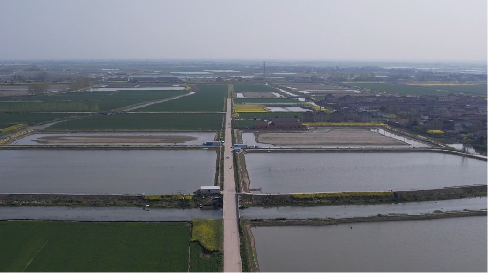 运满满助力“农村公路+产业” 铺就乡村振兴“快车道”