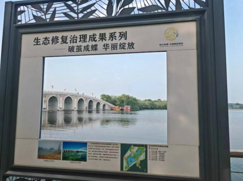 2025媒体管家：制度领航绿金唐，南湖清风润重城