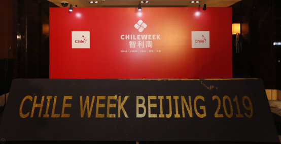 敦煌网王树彤受邀出席“智利周” 中国电商助推智利中小企业转型