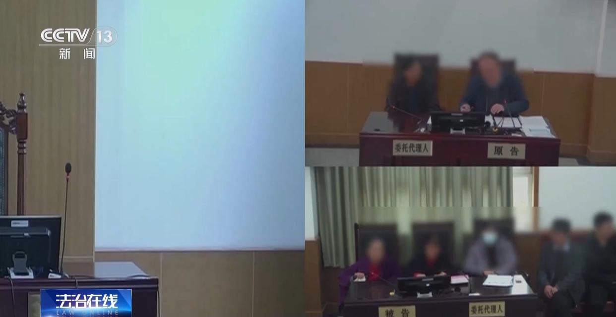 法治在线丨赵女士走了，叔姑舅姨9人争遗产，房产为何收归国家？案例释法→(图35)