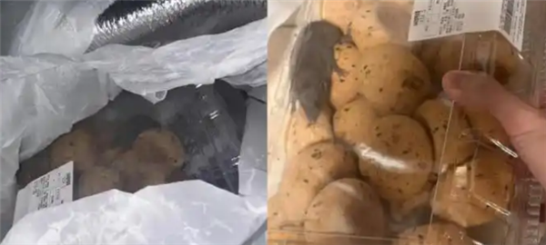 山姆麻薯盒内现活老鼠 当事人:打开那一刻吓蒙了 客服:正在核实 山姆麻薯盒内现活老鼠 当事人:打开那一刻吓蒙了 客服:正在核实