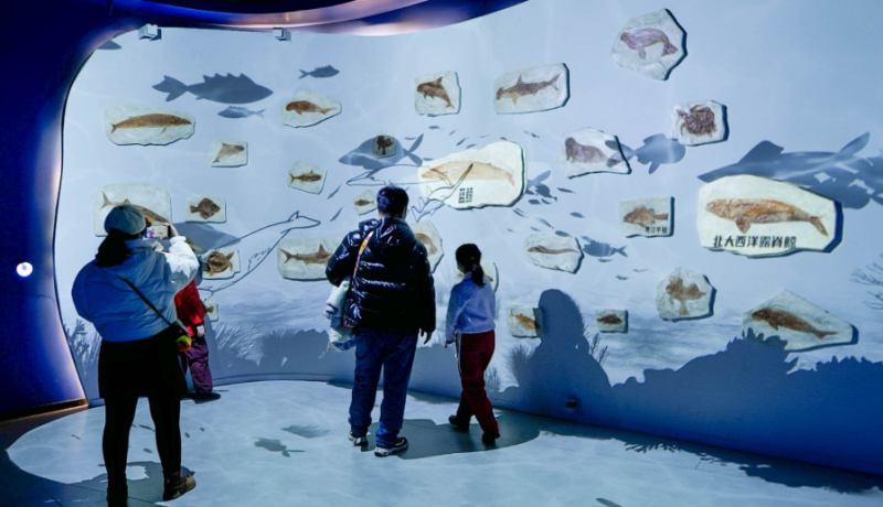 数字化展馆光影互动设计:思特科技刷新数字创意“保守”现状