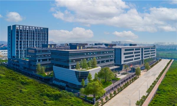 2023未半  高频出圈的小熊电器都做了什么(图1)