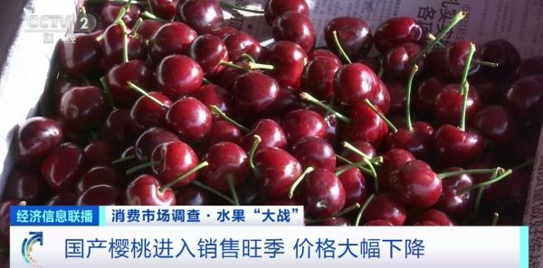 樱桃自由了！水果贵族樱桃一斤直降30元 六七月份还会继续降(图2)