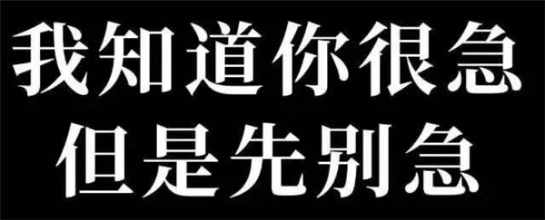 丰田要给纯电车装手动挡！我看它是真急了(图15)