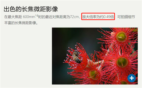 科普：相机镜头的“放大倍率”是什么？(图3)