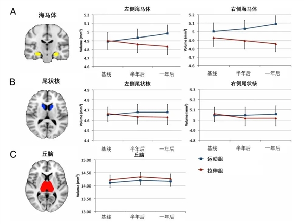 被低估太久！这项平价运动不仅能瘦：还能把你的坏情绪打出去