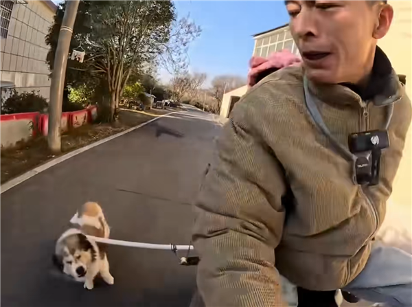 骑车怕被狗追？男子发明车载打狗棒 网友：实用又搞笑(图1)