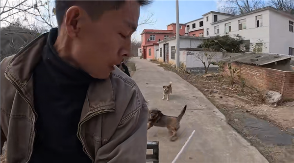 骑车怕被狗追？男子发明车载打狗棒 网友：实用又搞笑(图3)