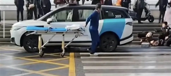 闯红灯加塞、碾猫撞狗 无人驾驶出租车闯祸不断(图6)