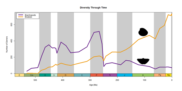 曾统治海底2亿年的腕足动物 为什么如今“拉到家”(图9)