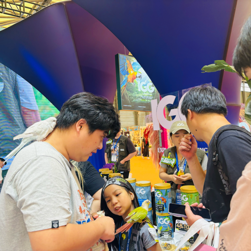 亚展盛事:IGG品牌斩获双奖,引领鹦鹉滋养丸科学喂养新篇章(图5) 亚展盛事:IGG品牌斩获双奖,引领鹦鹉滋养丸科学喂养新篇章(图5)