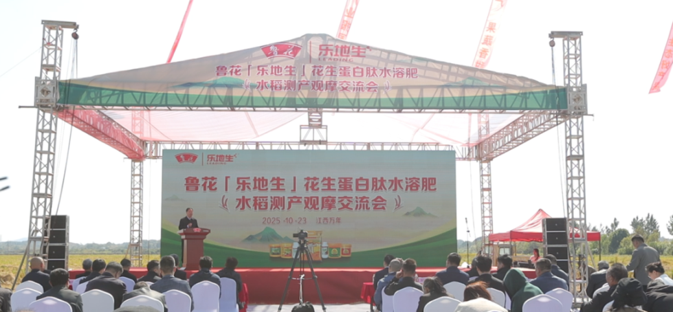 鲁花“乐地生”花生蛋白肽水溶肥水稻测产观摩会在江西万年举行(图1)